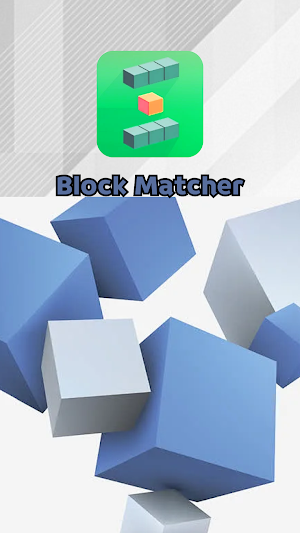 Block Matcher Screenshot 0