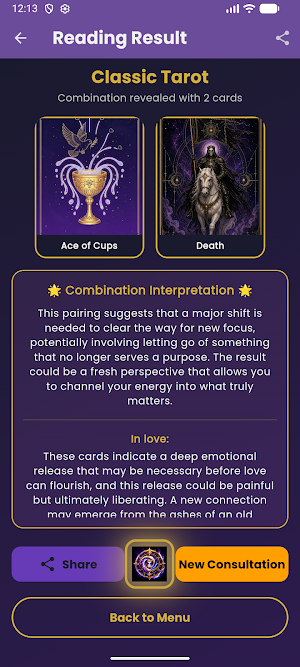 Tarô Visão Tarot Profissional Screenshot 3