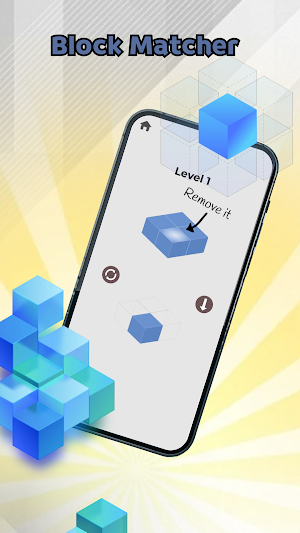 Block Matcher Screenshot 2