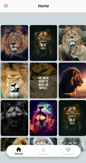 Lions Pictures HD Offine Screenshot 2