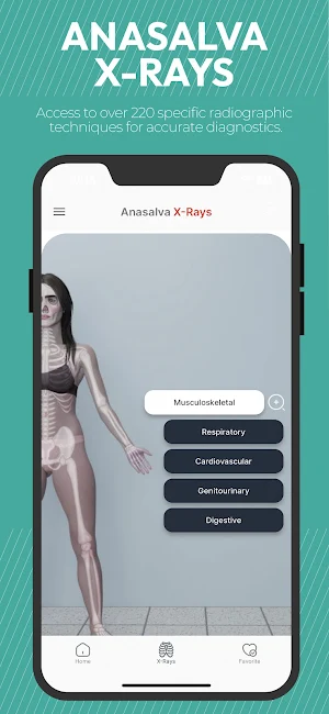 Anasalva X-Rays Screenshot 1