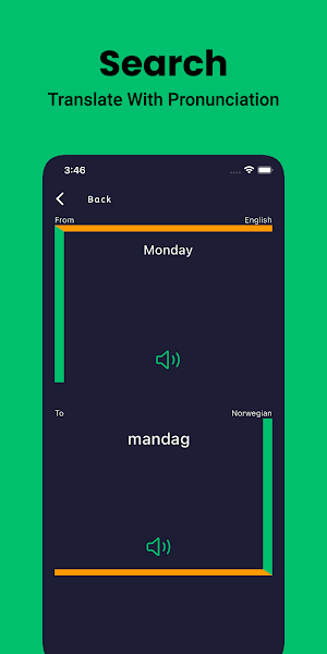 Norwegian Dictionary English Screenshot 3