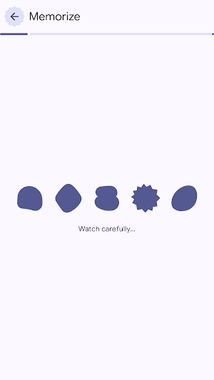 Flash Shape - Visual Memory Screenshot 1