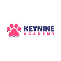 Keynine Academy