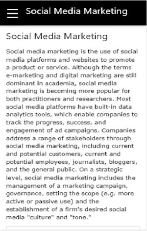Social Media Marketing Screenshot 2