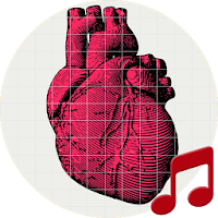 Human heart sounds ~ Sboard.pro