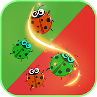Ladybug Classification