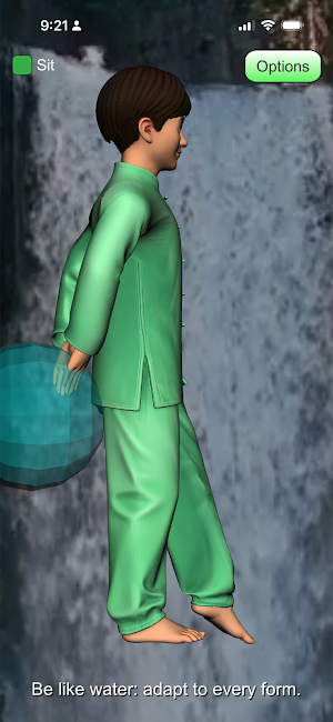 Tai Chi 2026 Screenshot 2