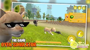 Cat Simulator 3D Screenshot 3