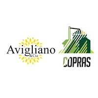 Avigliano y CIA SRL