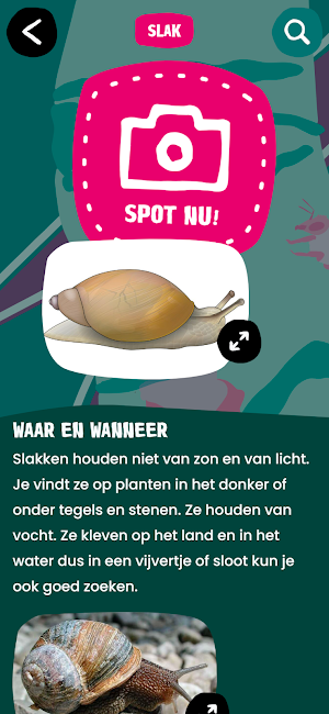 SoortSafari - Het Klokhuis Screenshot 1
