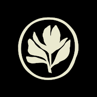 Modern Holistic Wellness