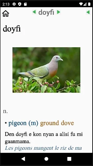 Dictionnaire Nengee-Fr-En Screenshot 1