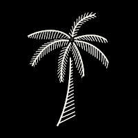 Palmetto Superfoods