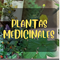 Plantas medicinales