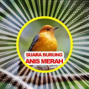 Suara Burung Anis Merah Screenshot 2