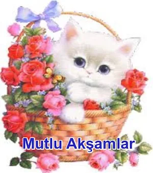 mutlu akşamlar Screenshot 1
