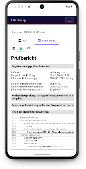 E-Rechnung (View & Validate) Screenshot 2
