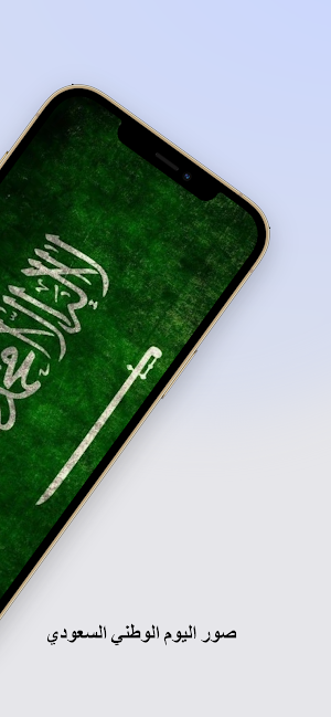 اليوم الوطني السعودي 94 Screenshot 1
