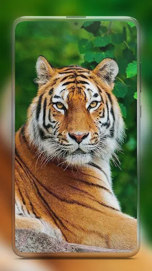 Animal Wallpapers HD Screenshot 0