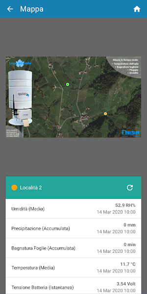 Nesa Sunflower Screenshot 2