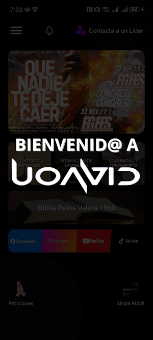 UOAVID Screenshot 0