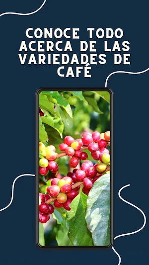 Variedades Café Mundo Screenshot 0