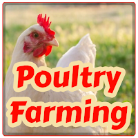 Poultry Farming - Chicken Farm