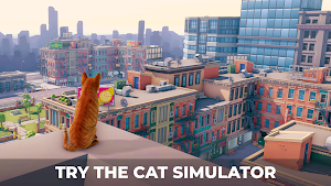 Cats Game - Survival Simulator Screenshot 0
