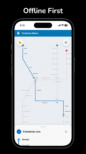 Offline Tashkent Metro Map Screenshot 0