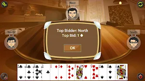 Auction Bridge / IB Screenshot 3