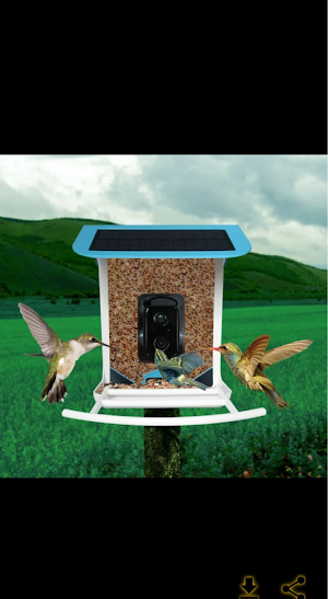 smart bird house guide Screenshot 3