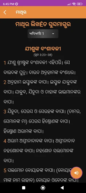 Punjabi Bible (ERV) Screenshot 1