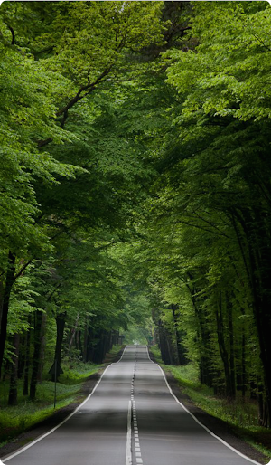 Road Wallpaper 2024 Screenshot 0