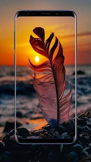 Sun Wallpapers and Backgrounds Screenshot 1