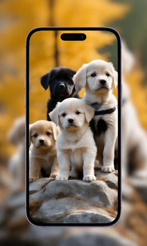 Cute Puppy Wallpaper for Dogs Screenshot 1