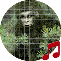 Bigfoot Sounds ~ Sboard.pro