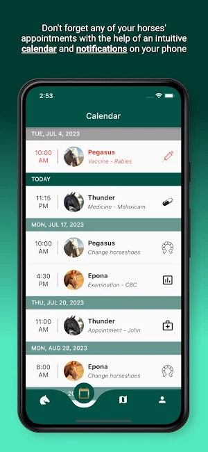 Horsefy: Horses and riding Screenshot 2