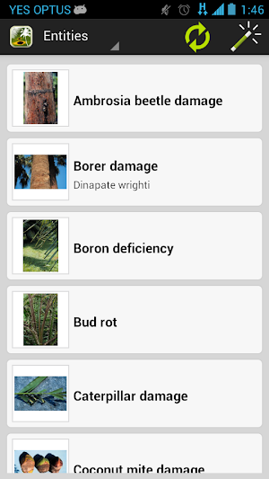 Palm Symptoms Key Screenshot 1