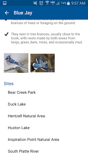 Denver Urban Bird Atlas Screenshot 3