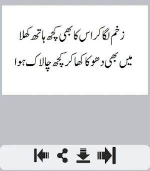 Dhoka Shayari Screenshot 2