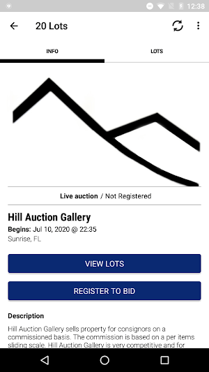 Hill Auction Gallery Screenshot 3