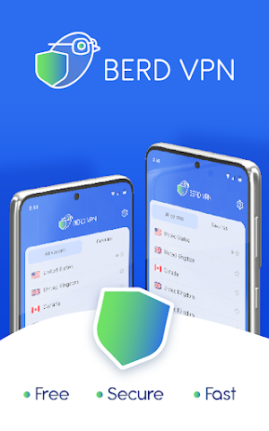 Berd VPN Screenshot 0