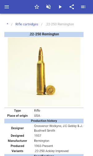 Ammunition Screenshot 2