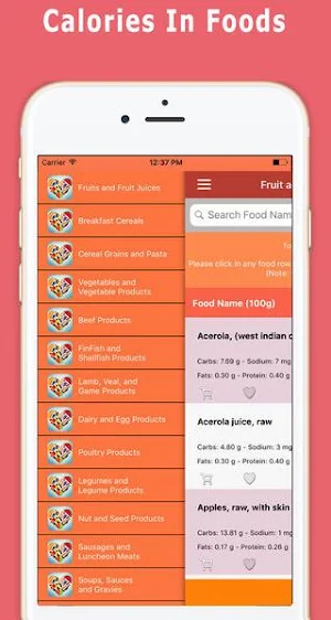 Calories In Foods Screenshot 0