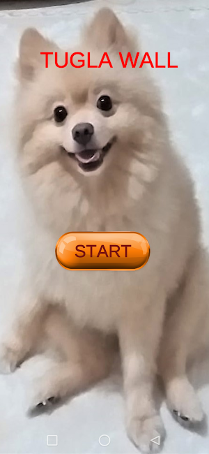 Tugla Wall Screenshot 0