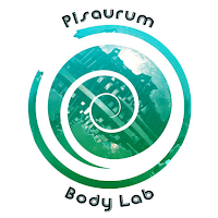 Pisaurum Trainer Lab