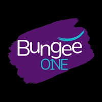 BungeeONE