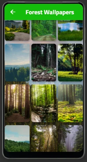 Forest Wallpapers Screenshot 1