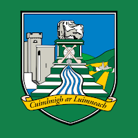 Limerick GAA Official